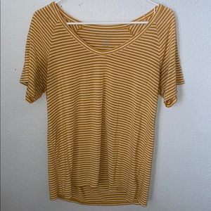 Yellow striped American Eagle Too